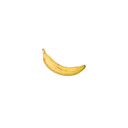 Pieza de fruta