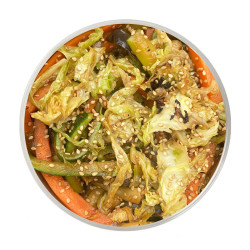 Wok de Verduras